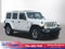 2019 Jeep Wrangler Unlimited Sahara 4x4