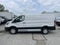 2024 Ford Transit Cargo Van T-250 130" Low Rf 9070 GVWR RWD