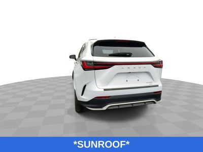 2023 Lexus NX 350 F SPORT Handling